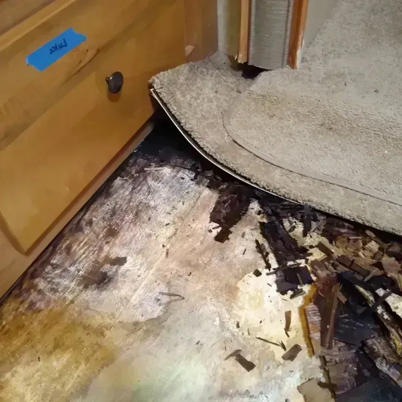 Wood Floor Water Damage in Galesburg, IL